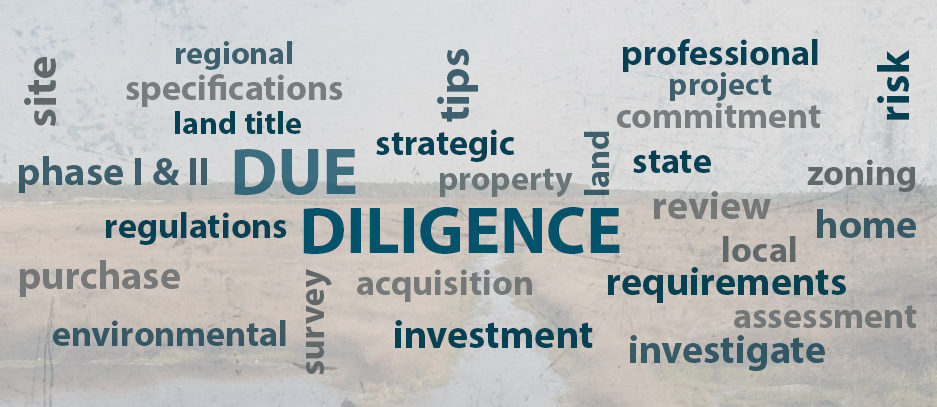 Property Due Diligence