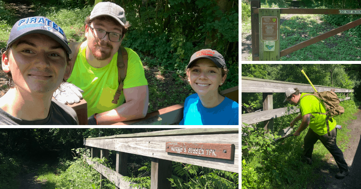 LAN Associates Volunteer work