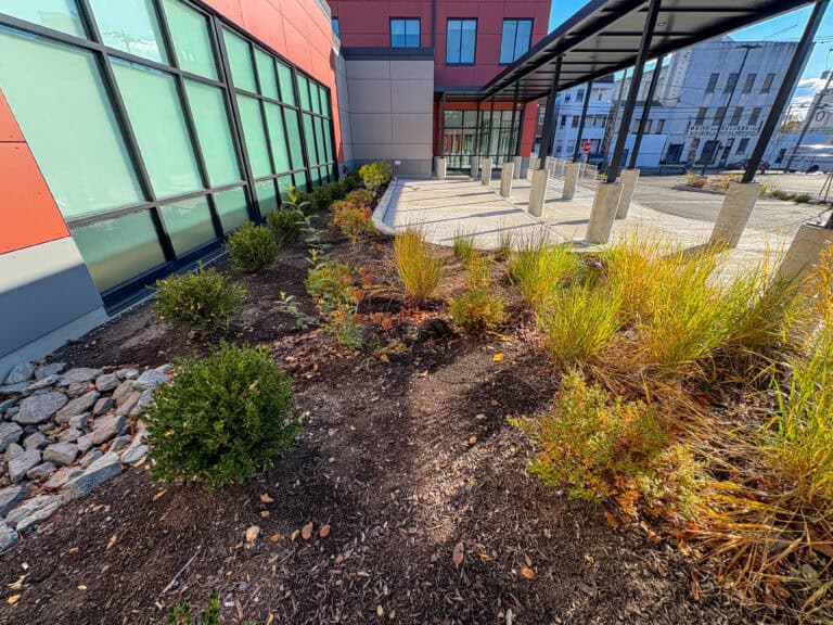 Vegetated Areas for Natural Infiltration