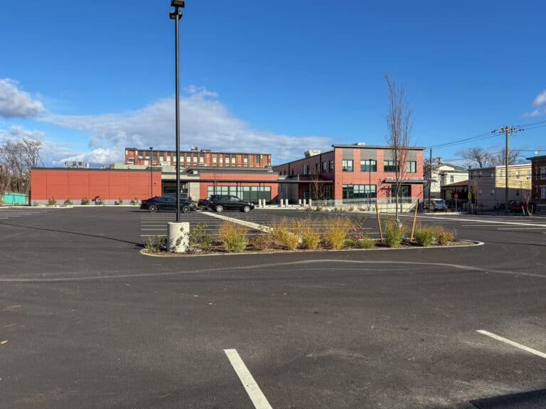 Vegetated Areas for Natural Infiltration